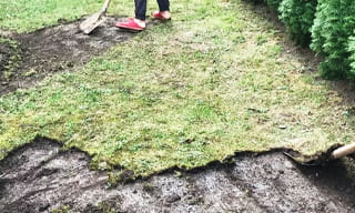 Снятие дерна старого газона в Солнечногорске – от 522 руб. | ИП Садыков В. Р.